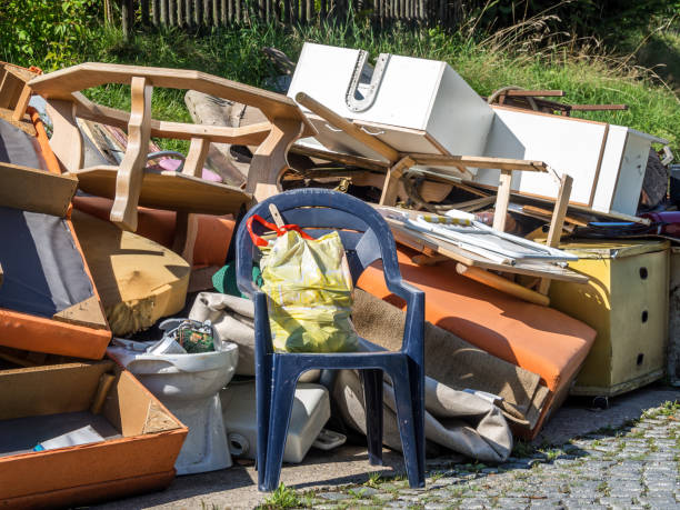 Best Electronics and E-Waste Disposal  in Blue Ridge, AL